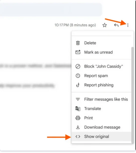 Original email will show if your SPF, DKIM, and DMARC are working as intended.